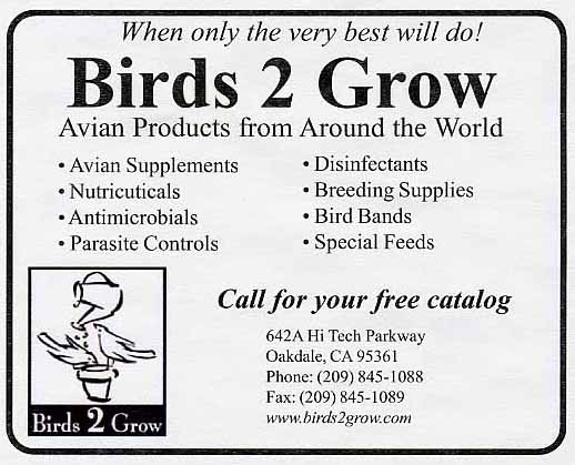 Birds 2 Grow