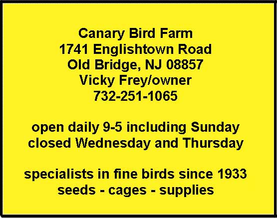 Canary Bird Farm